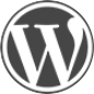 wordpress theme